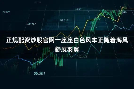 正规配资炒股官网一座座白色风车正随着海风舒展羽翼