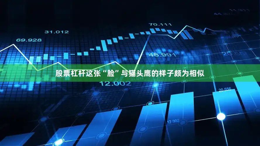 股票杠杆这张“脸”与猫头鹰的样子颇为相似