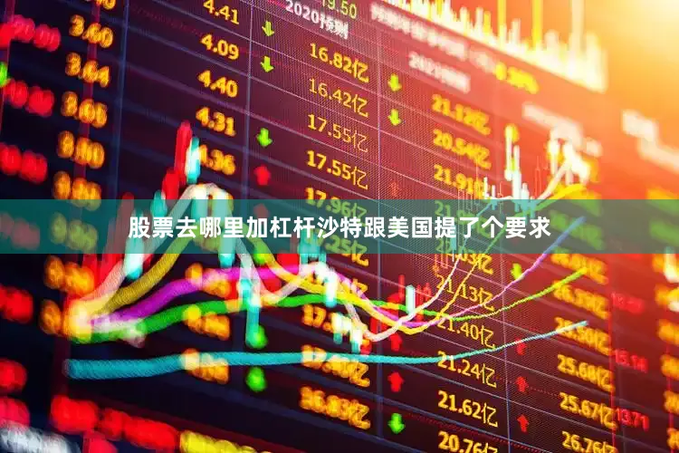 股票去哪里加杠杆沙特跟美国提了个要求