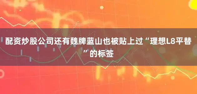 配资炒股公司还有魏牌蓝山也被贴上过“理想L8平替”的标签